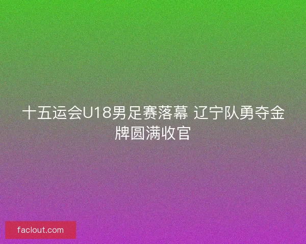 十五运会U18男足赛落幕 辽宁队勇夺金牌圆满收官